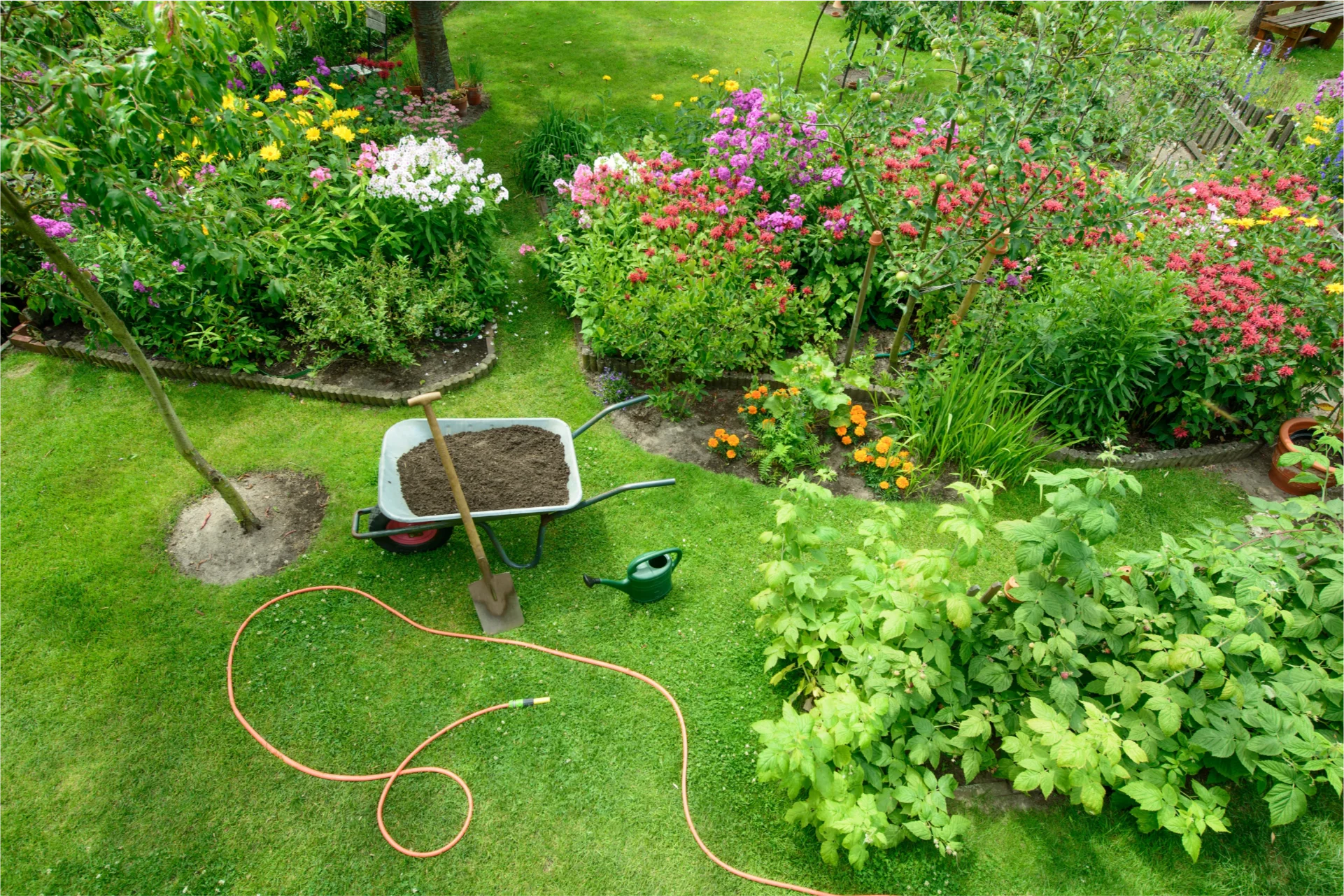 Landscape Design Consultation