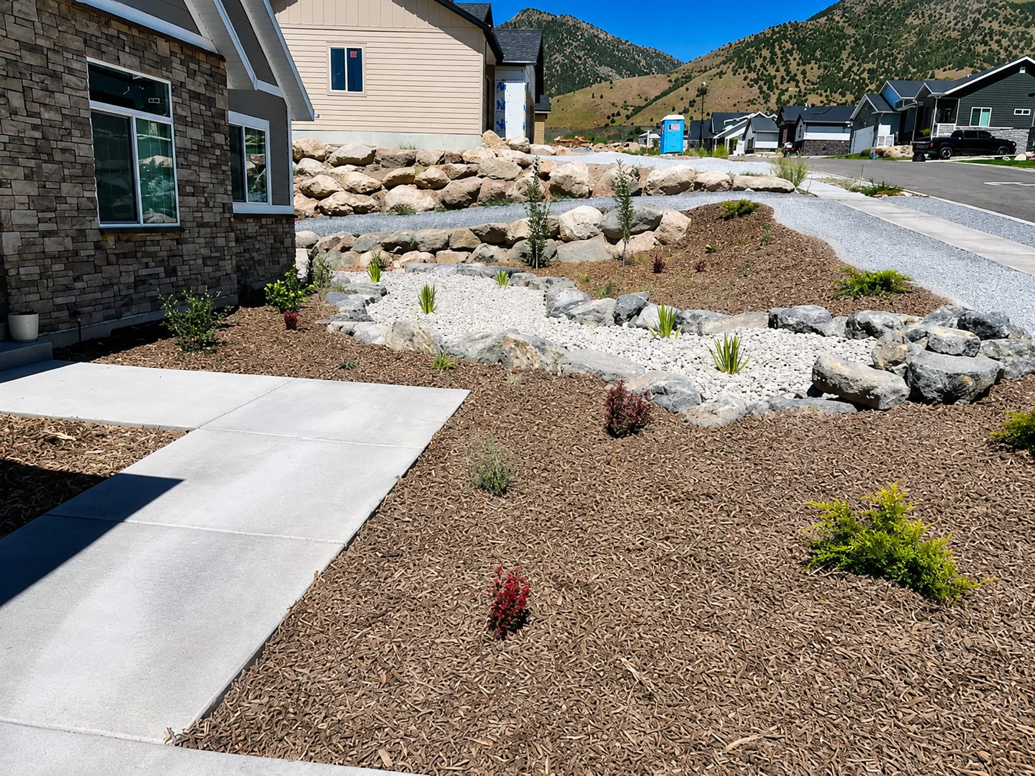 Water-wise landscape planting